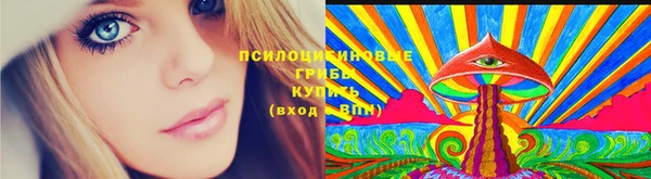 ECSTASY Козловка