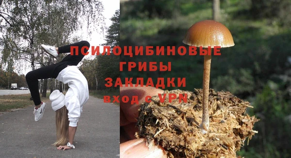 молекула духа Козельск