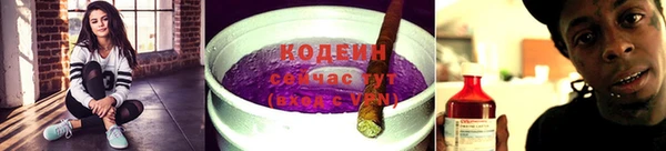 молекула духа Козельск