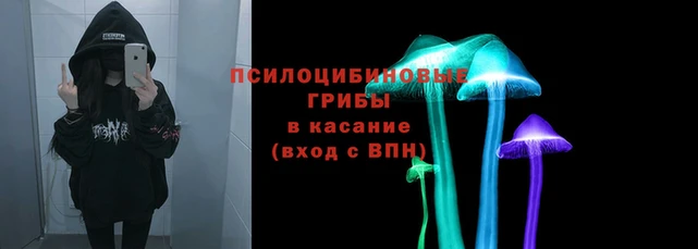 амф Кодинск