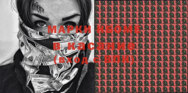 молекула духа Козельск