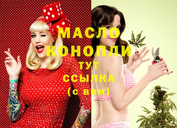 молекула духа Козельск