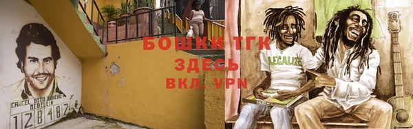 молекула духа Козельск