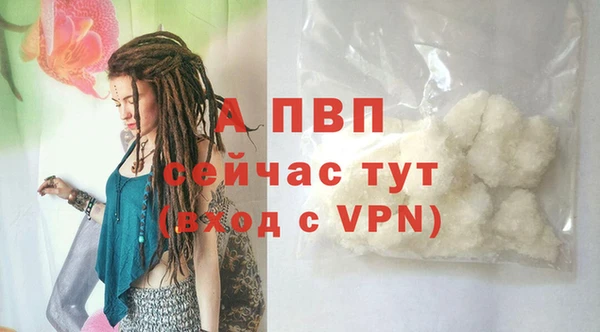ECSTASY Козловка