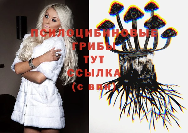 молекула духа Козельск